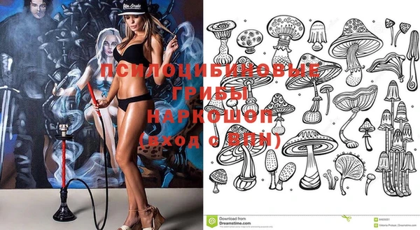 спиды Аркадак
