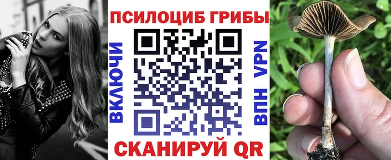 Галлюциногенные грибы Cubensis  Рыбное 